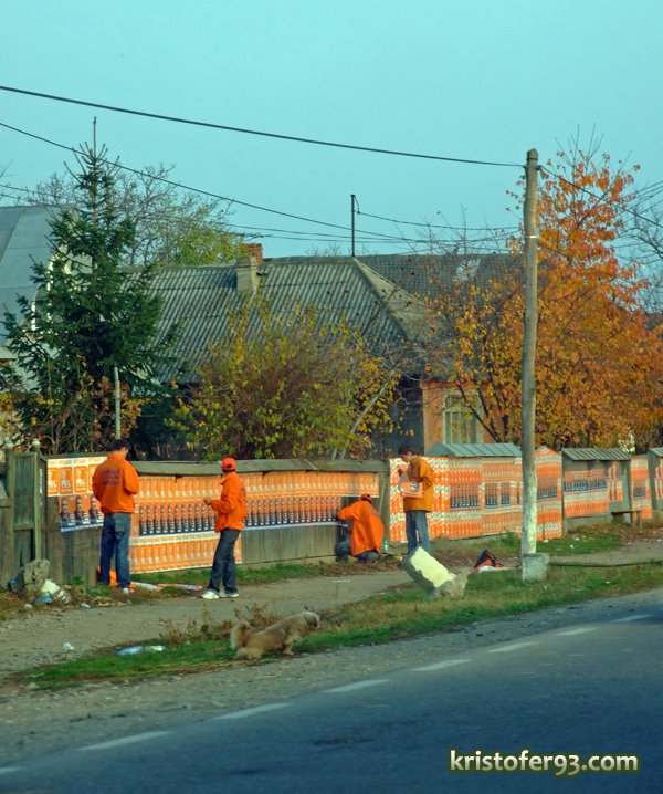 [PD-L--Stiinta+294.jpg]