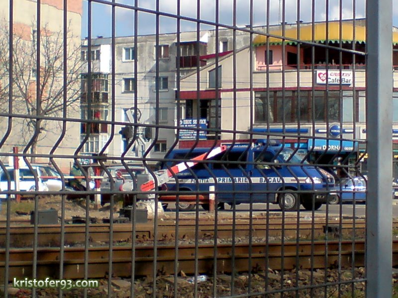 [DSC00229.JPG]