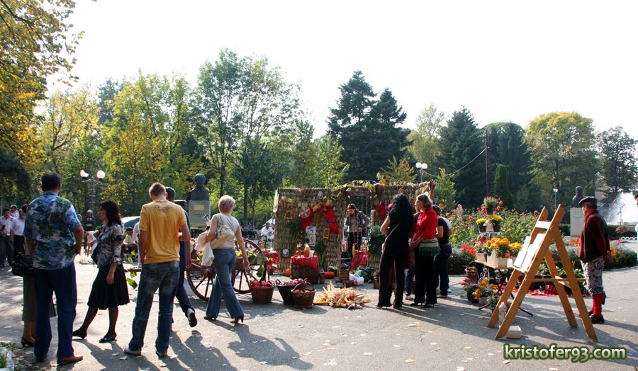 [IMG_8847.JPG]