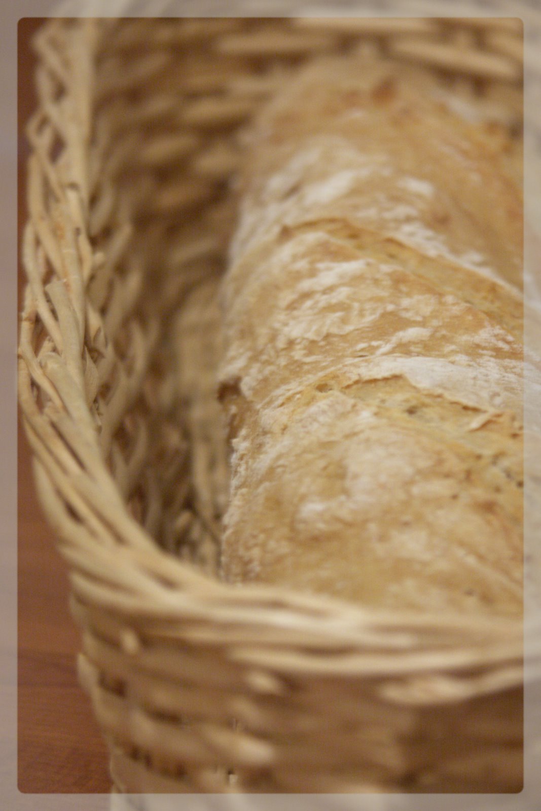 [Janvier+2008+131.jpg]