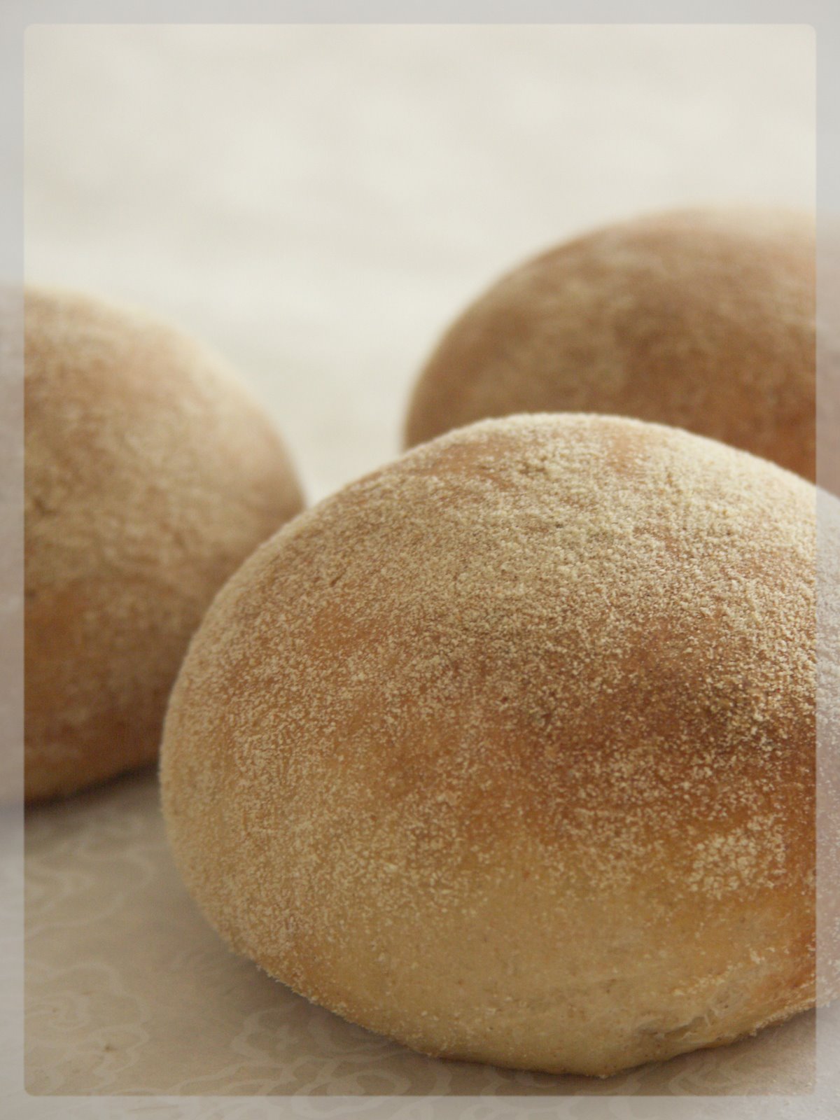 [Janvier+2008+441.jpg]