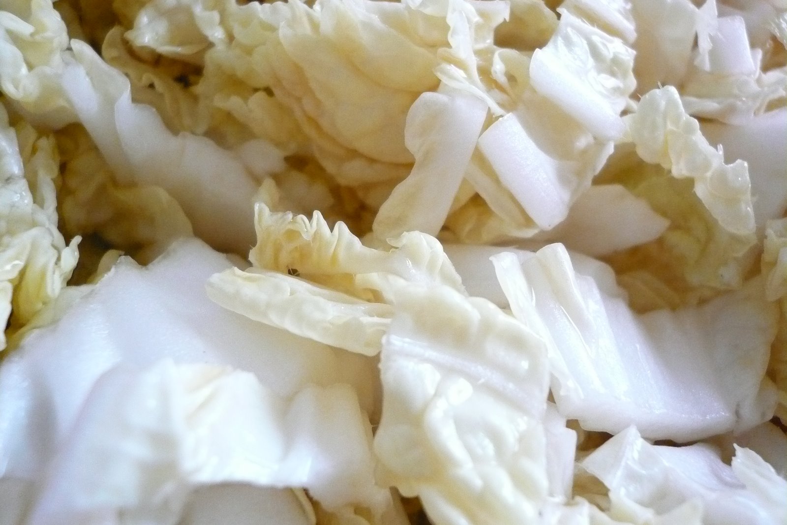 [Juillet+2007+006.jpg]