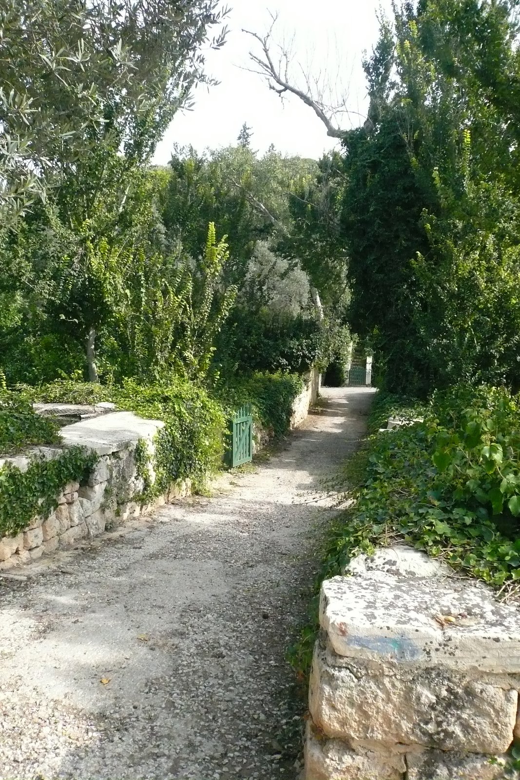 [Malte+Octobre+2007+042.jpg]