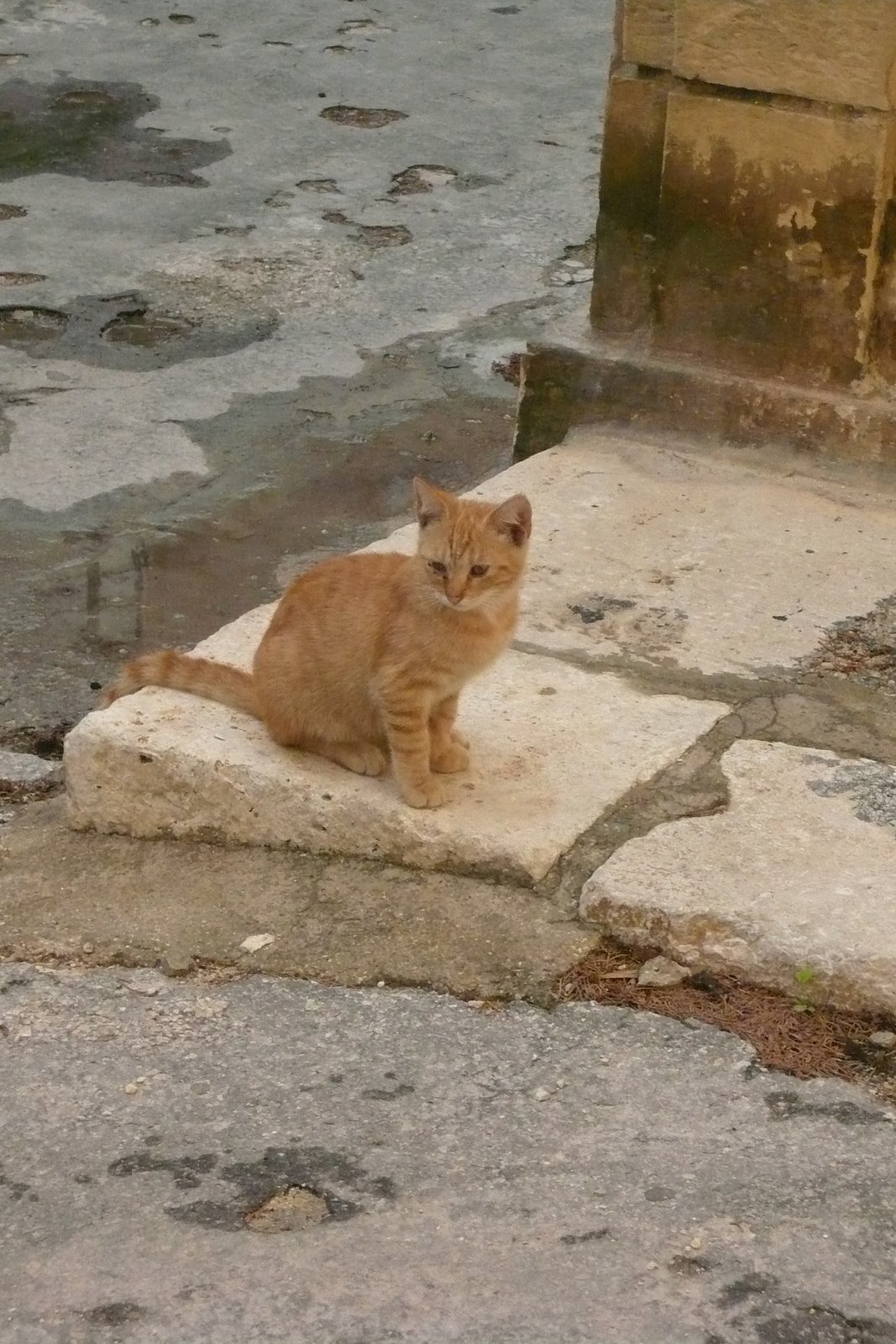 [Malte+Octobre+2007+023.jpg]