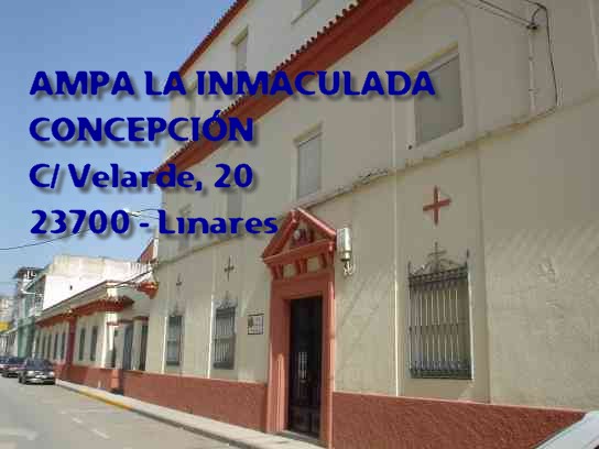 AMPA LA INMACULADA CONCEPION