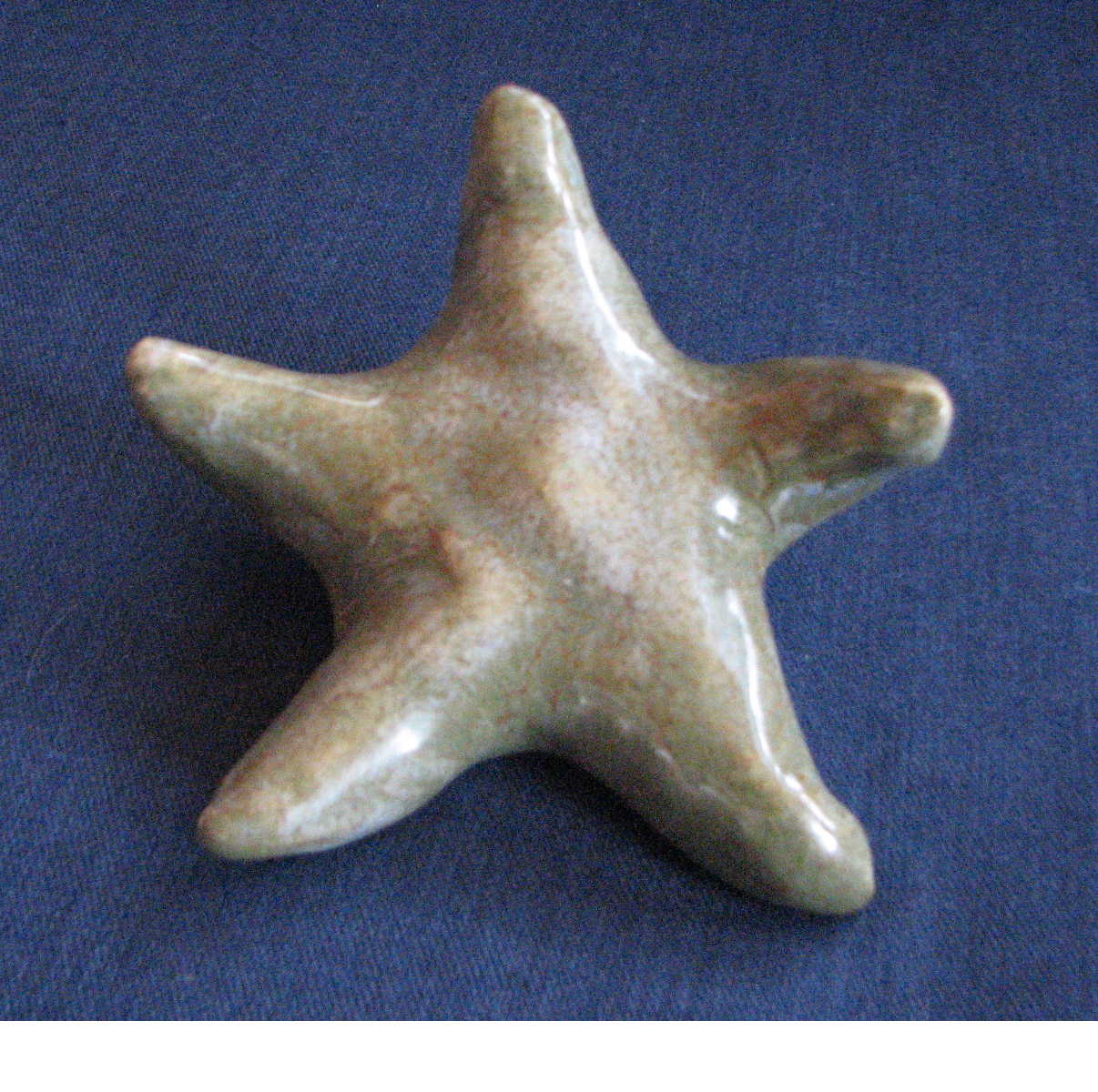 [starfish.Bob.25.JPG]