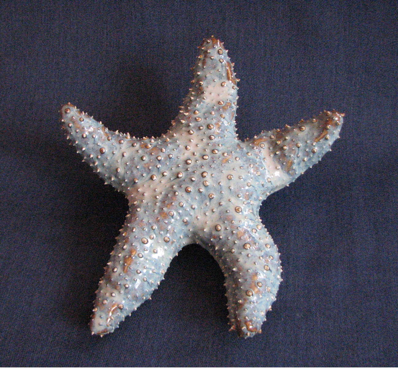 [starfish.Mark.35.JPG]