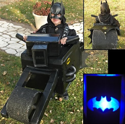 homemade+bat-pod.jpg