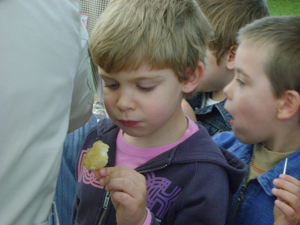 [DSC00184.JPG]