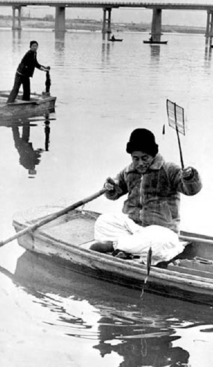 gyeonji fishing rod for sale