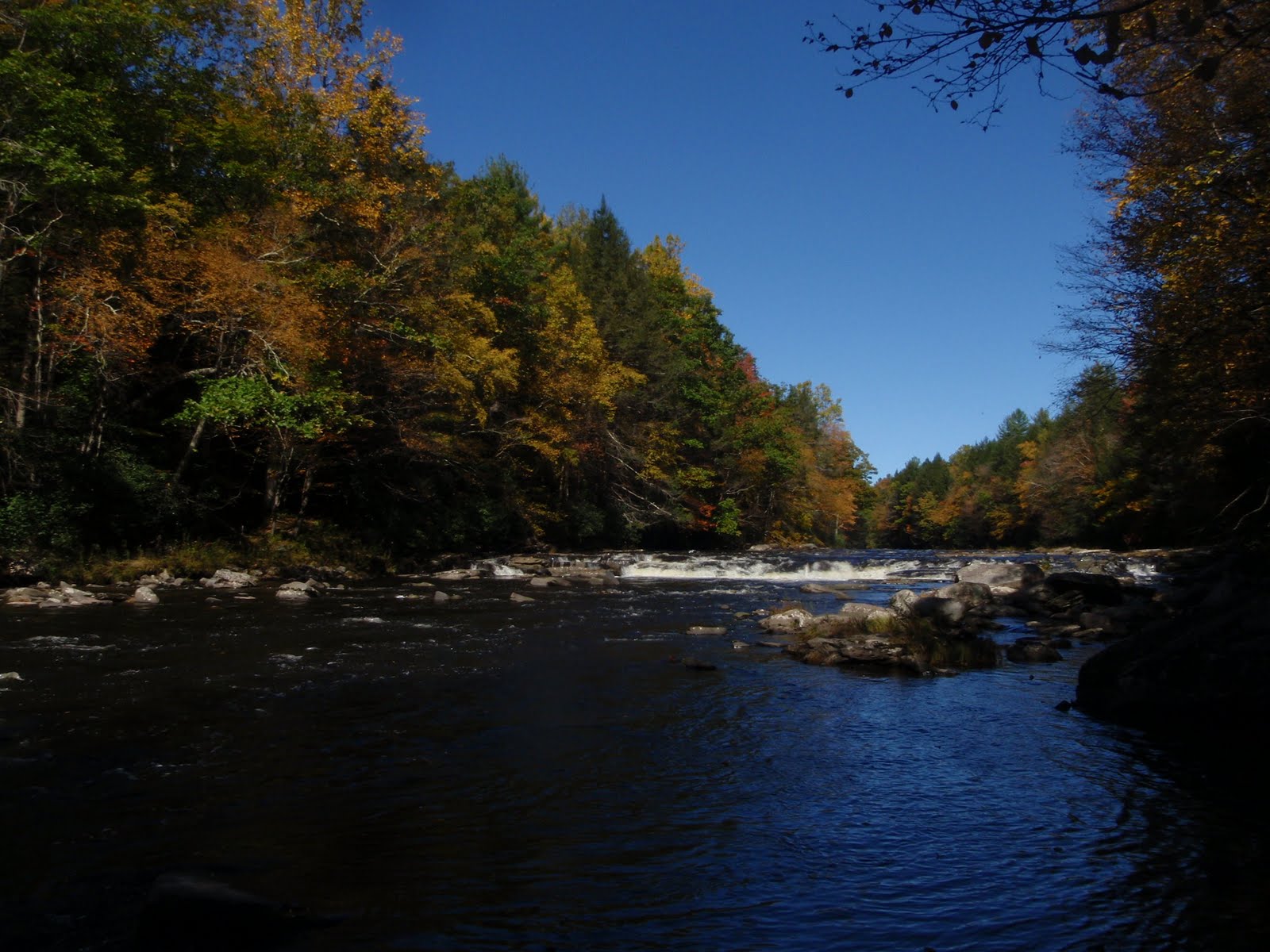 four seasons angling club Neversink