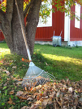 höst i trädgården