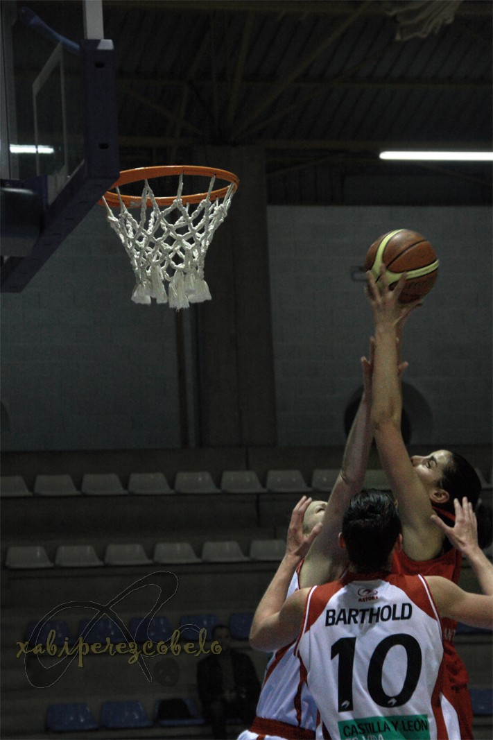 [basket.jpg]