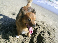 Nabiki en la playa....