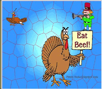 Funny Turkey Pictures Funny Turkey Pictures