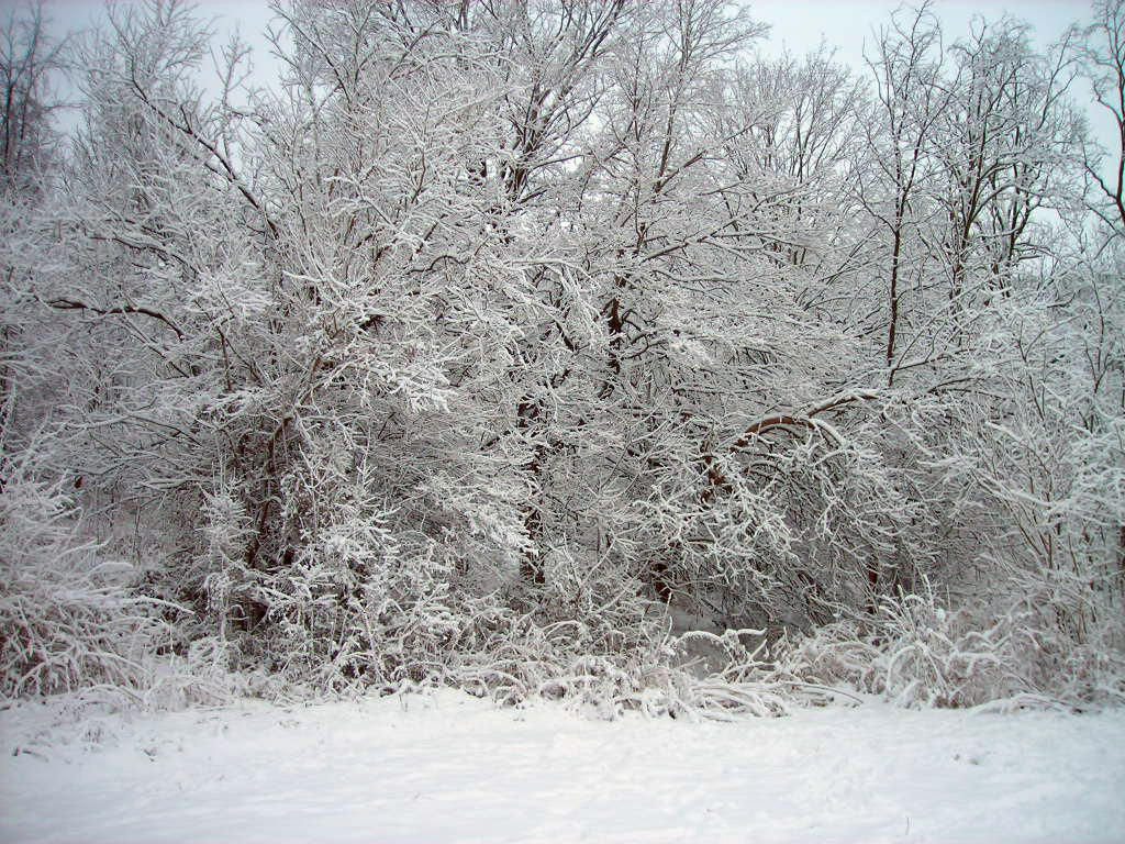 [DSCN3014.jpg]