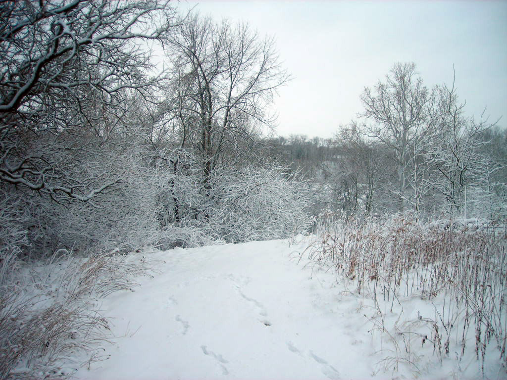 [DSCN3009.jpg]