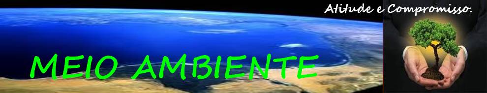 Educação Ambiental
