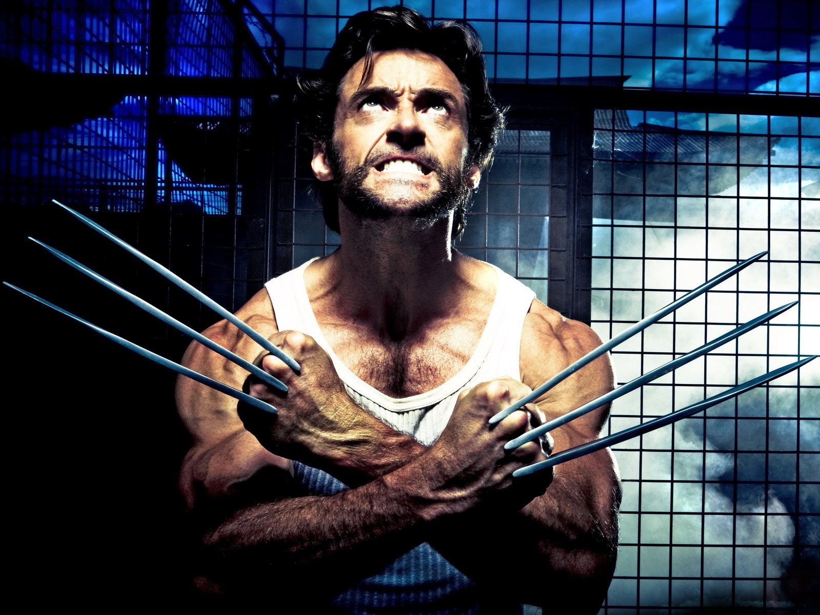 http://1.bp.blogspot.com/_2n9G8hS3AbI/TTPGUE_NadI/AAAAAAAABWQ/g7TcFWeazEc/s1600/Hugh+Jackman+Wolverine.jpg