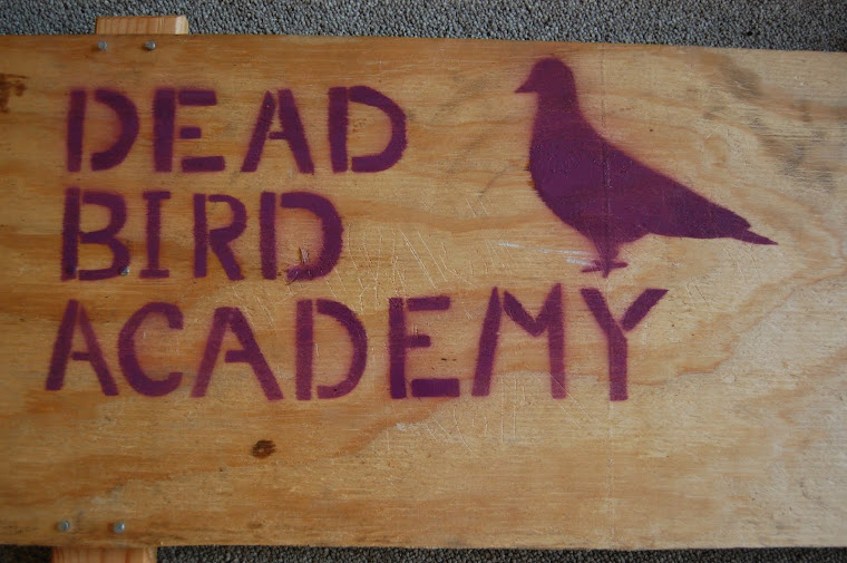 Dead Bird Academy