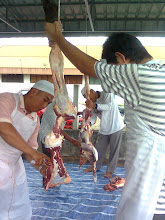 hari raya AidilAdha in Masjid Muhamadiah, Tasik on 8th Dec '08