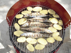 Morske ribice!