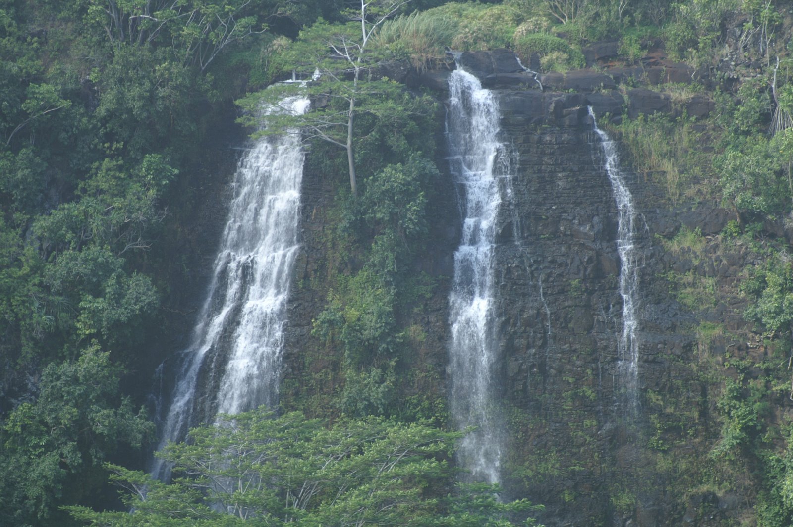 [PICT0136.JPG]