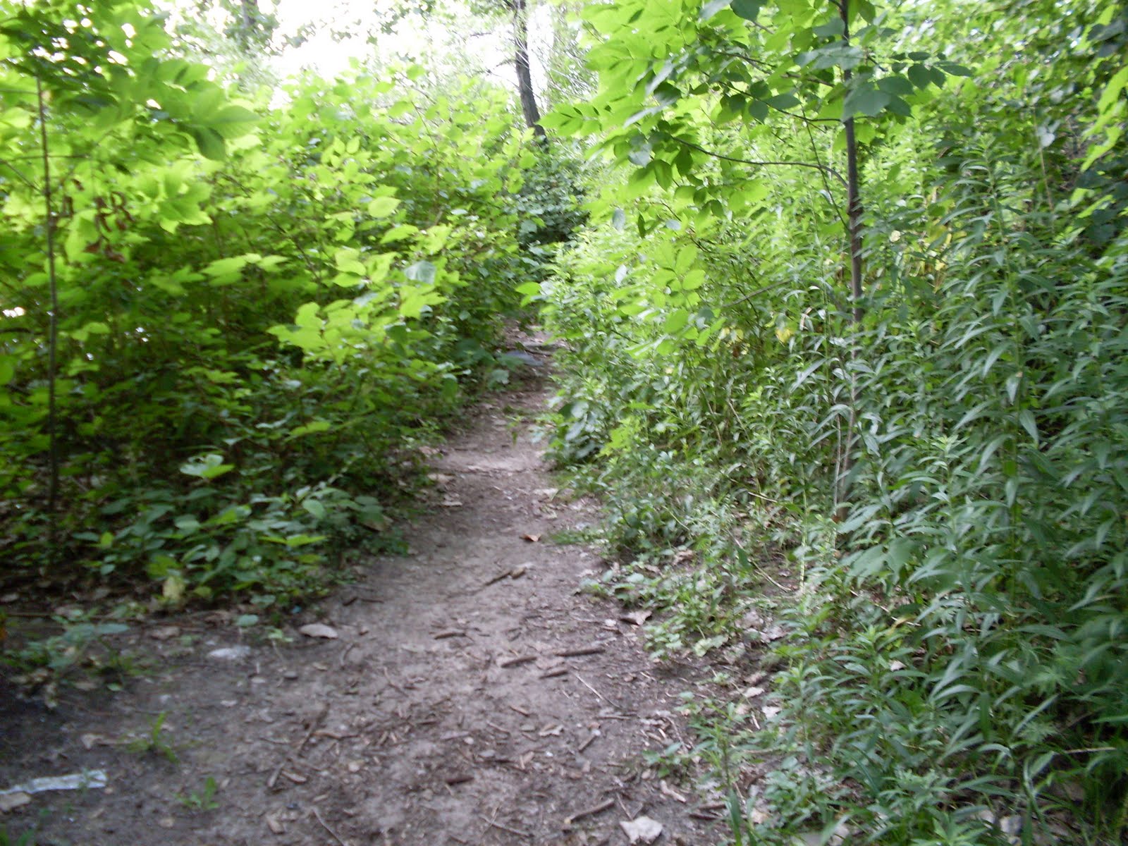 [SDC11495.JPG]