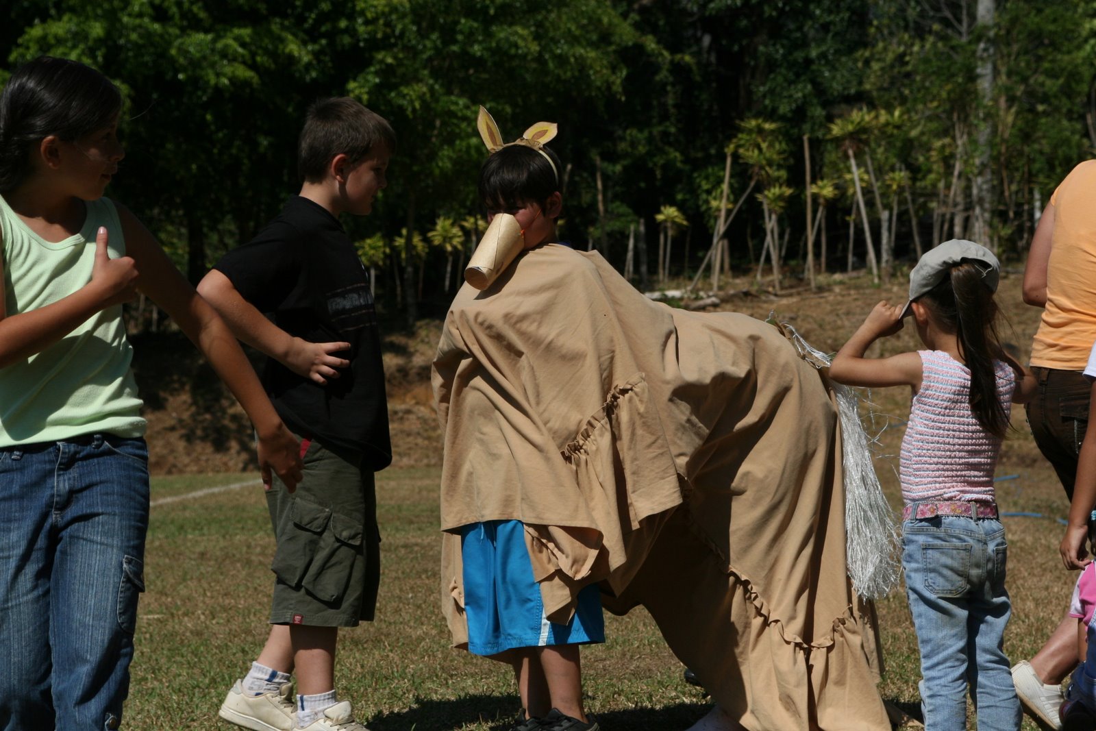 [IMG_6246.JPG]