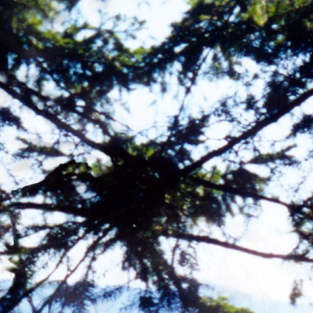 [phpThumb_generated_thumbnail.jpeg]