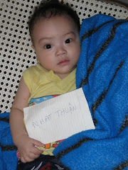 Top Model Vietnamien