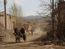 Donkey and cart in village