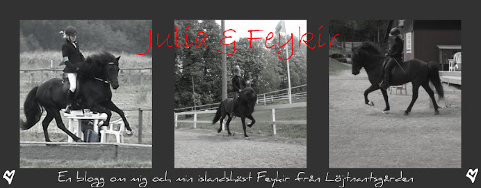 Julia och Feykir