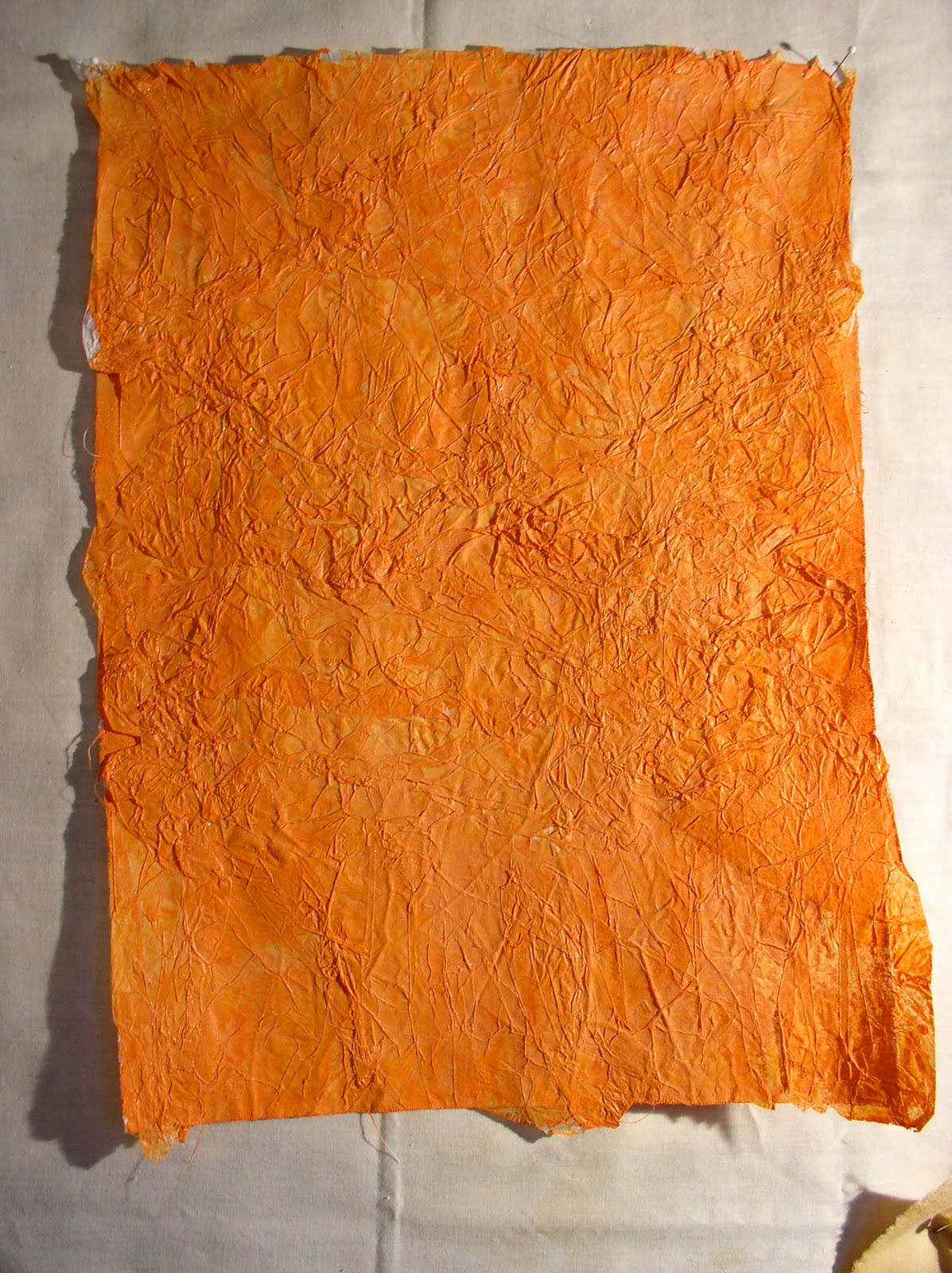 Textured Tissue