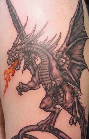 best littale dragon tattooss