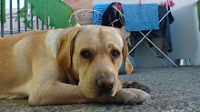 Mi foto