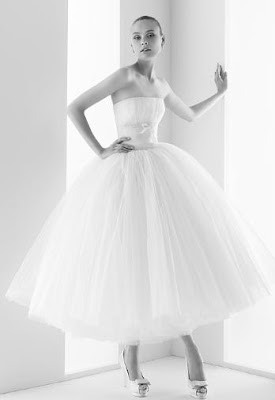 free videos with rosaleen young