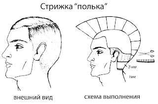 Схема Мужских Стрижек Фото