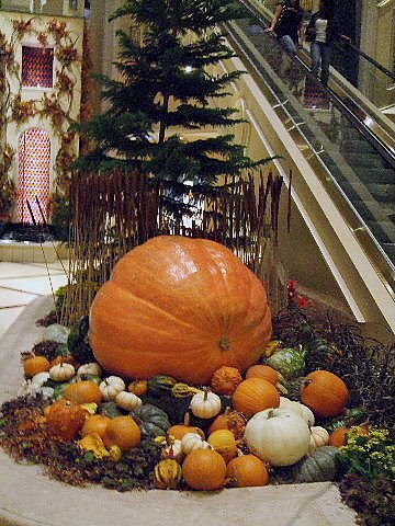 [2008_11160004.JPG]