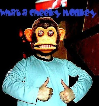 i am always monkeying around