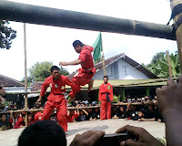 download video jurus tunggal pagar nusa gasmi download video jurus tunggal pagar nusa gasmi