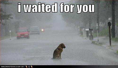 [patience.bmp]
