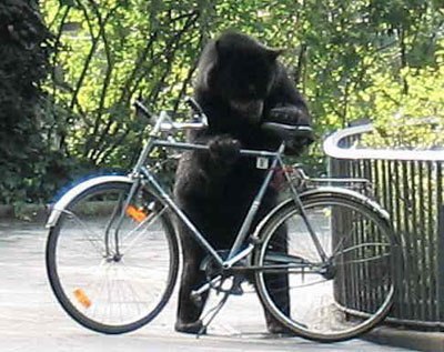 [funny_bear_bike.jpg]