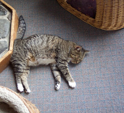 Slippers, melted