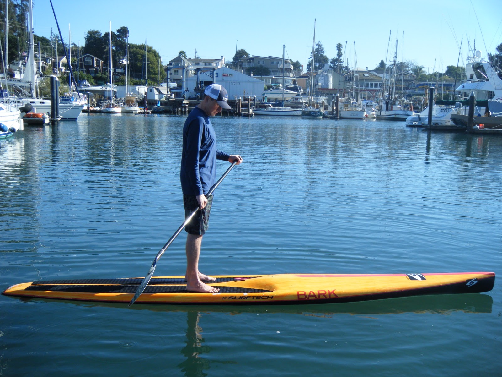 Stand Up Paddle Surfing Covewater Stand Up Paddle Santa Cruz Joe Bark