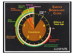 Reloj Biogeológico