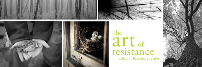 the art of resistance