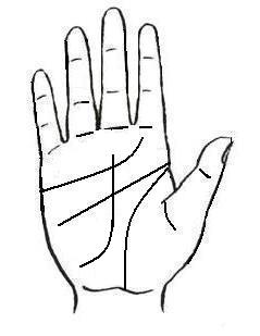 [à¸¥à¸²à¸¢à¸¡à¸·à¸­21.JPG]