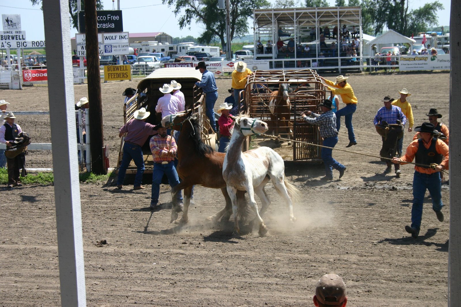 [IMG_2557.JPG]