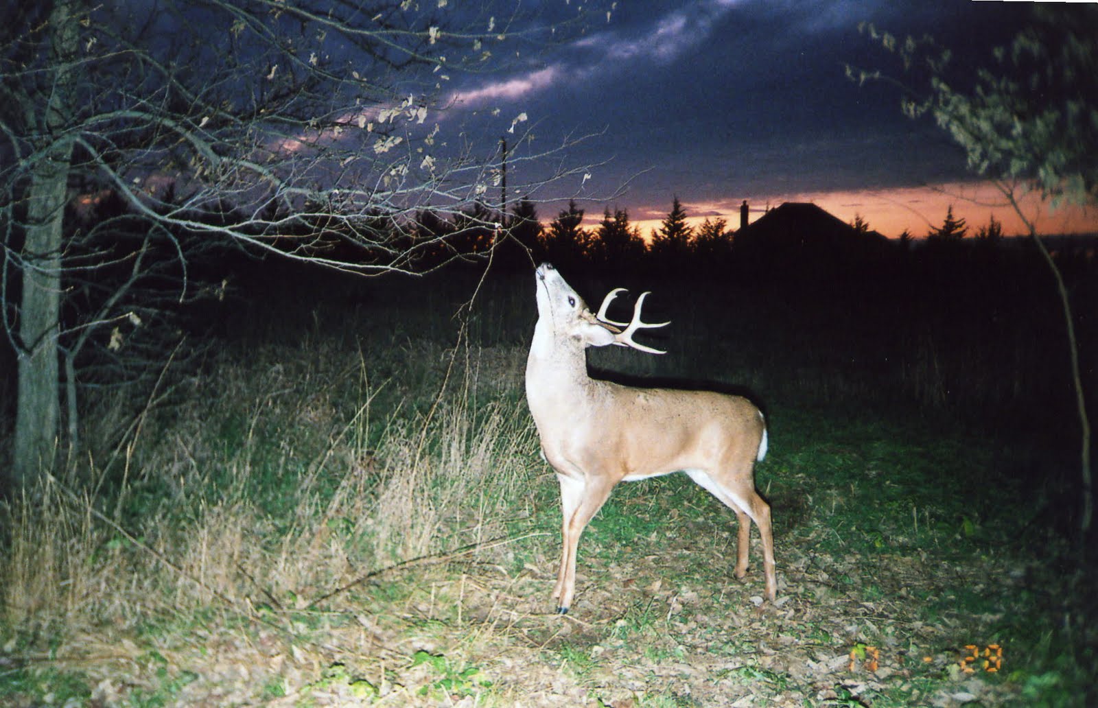 [File1160.jpg]